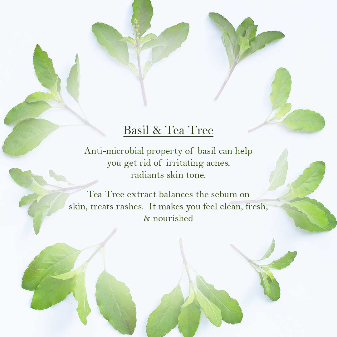 Basil Tea Tree Shower Gel-Mini