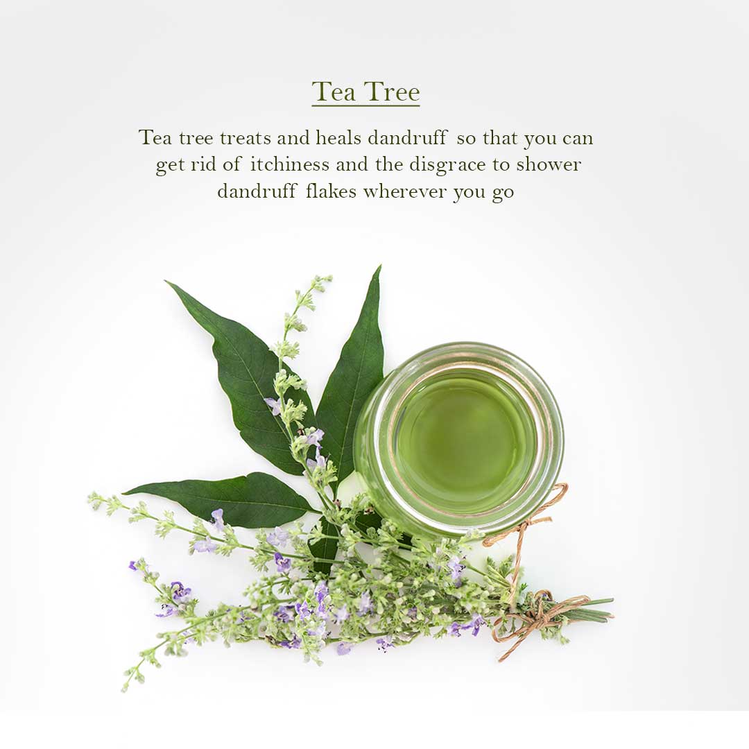 Refreshing Tea Tree Shampoo -Mini