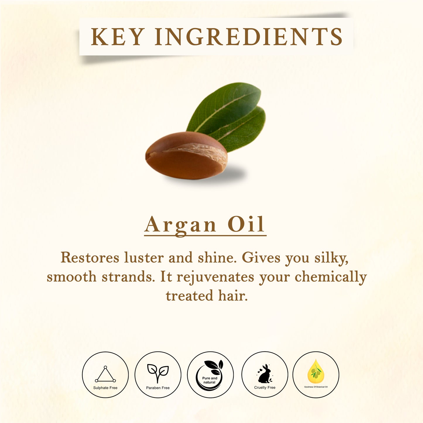 `Argan Oil Shampoo - 300ml