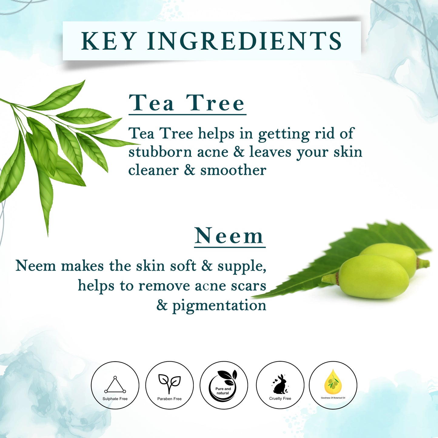 Tea Tree and Neem Cleansers Combo - 2 items